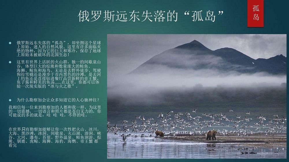 簡(jiǎn)介-1.jpg