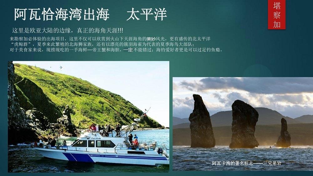 簡(jiǎn)介-7.jpg