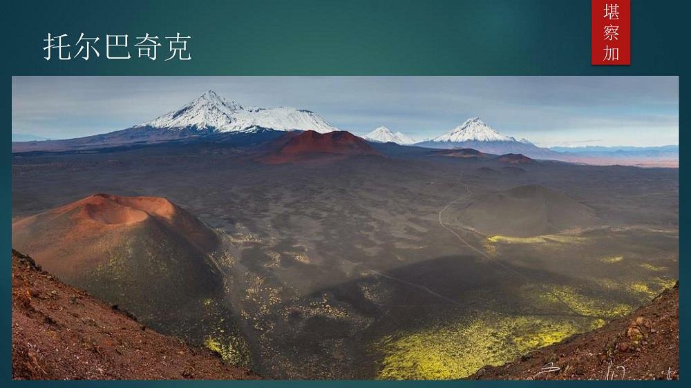簡(jiǎn)介-12.jpg