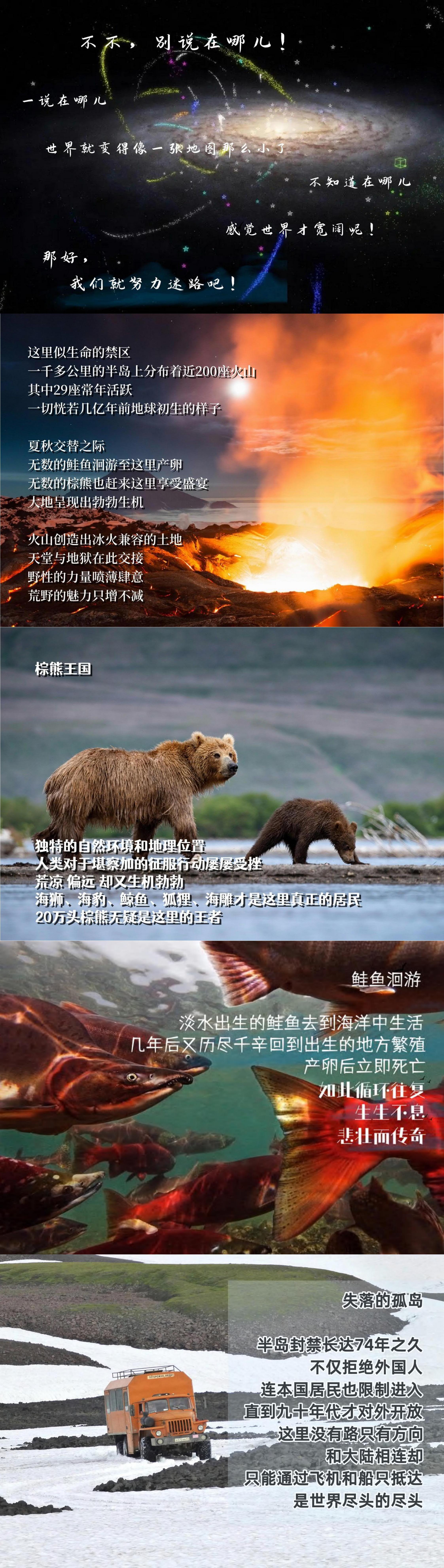 （已壓縮）棕熊王國堪察加_00.jpg