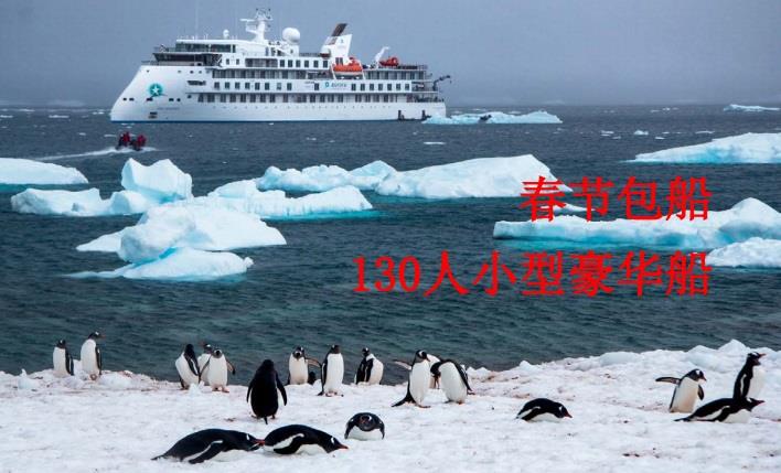 【春節(jié)包船】閣默號130人小型豪華船南極半島18天·4個登陸平臺 15艘沖鋒艇 1A抗冰級 豐富的活動 搭配多種延伸線